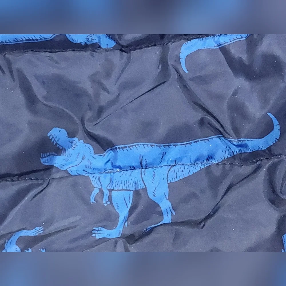 Toddler Dinosaur Packable Puffer Jacket